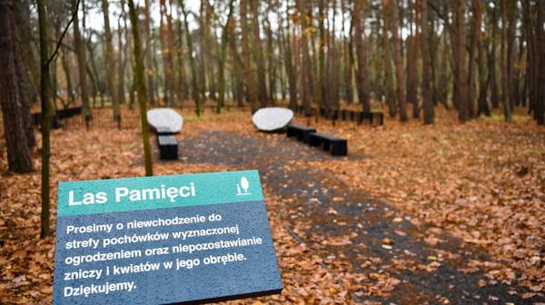 Las Pamięci to położona wśród drzew kwatera przeznaczona do pochówków w biodegradowalnych urnach
