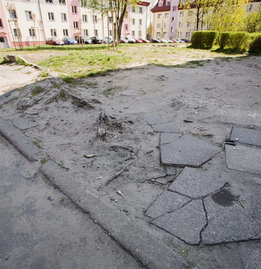 Radni zajmują się bzdurami, a miasto w ruinie