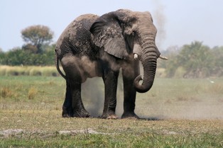Francja zorganizuje loterię na rzecz Afryki