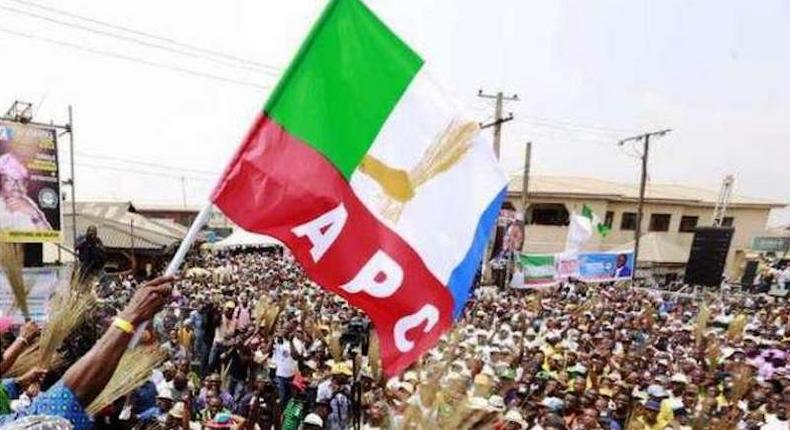 APC flag (Thisday)