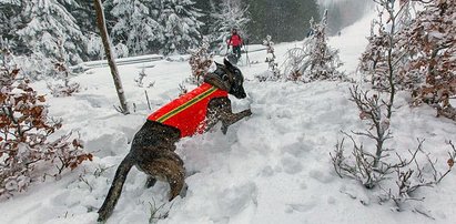 Niebezpiecznie w Karkonoszach! Drugi stopień zagrożenia lawinowego