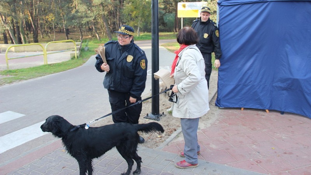 120 tysięcy torebek na psie odchody zakupionych przez miasto Gdańsk trafi do właścicieli czworonogów. "Posprzątaj po swoim psie. Dasz radę!" to hasło nowej miejskiej kampanii, która ma zachęcić do usuwania nieczystości po pupilach.