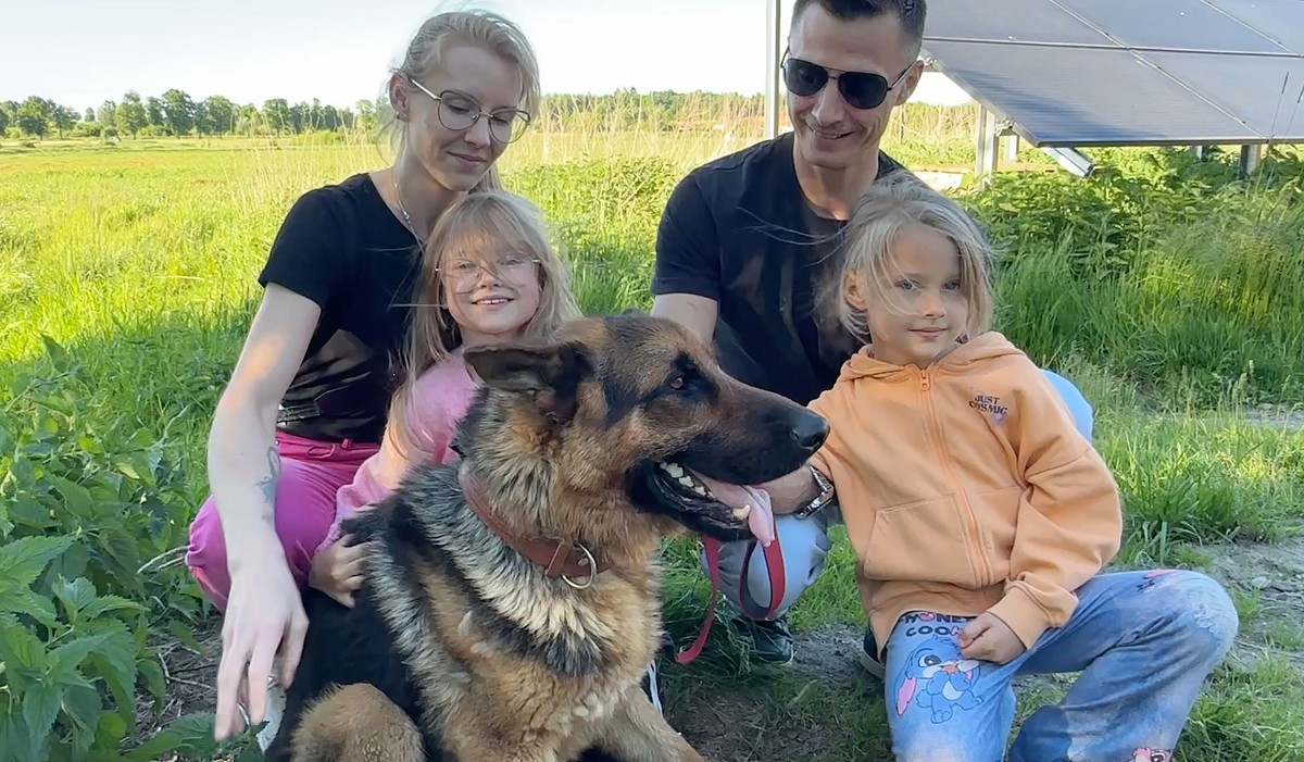 Bezprawnie odebrali im psa. Gdy wrócił ze schroniska po pół roku, aż się przerazili. 