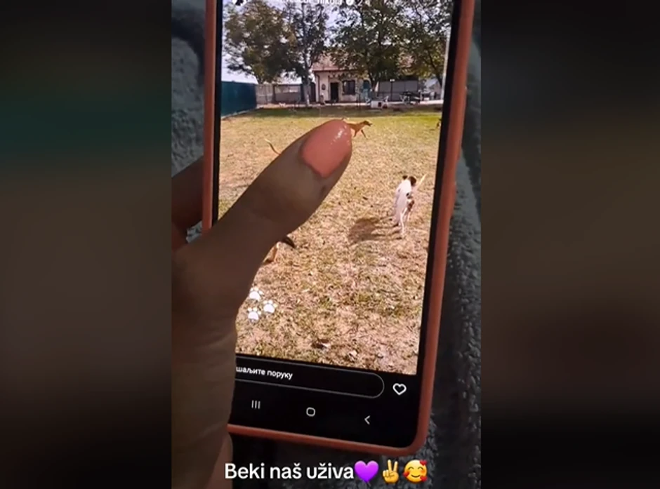 Fitnes bliznakinje pokazuju gde im je sad pas