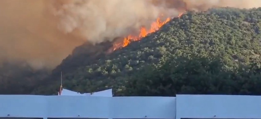 Požar iznad Čanja