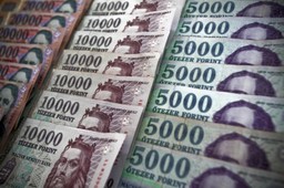 Węgierska nieortodoksja. Czy finansowe rozwiązania z Budapesztu przyjęłyby się w Polsce?