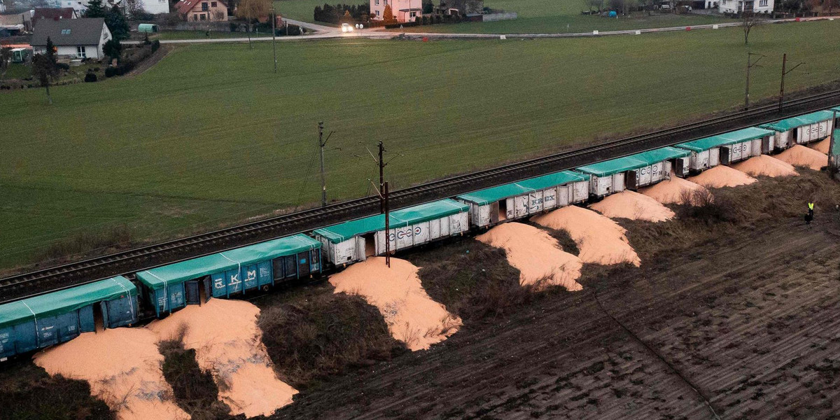 Pociąg z rozsypanym ukraińskim zbożem. Zdjęcie wykonano w woj. kujawsko-pomorskim.