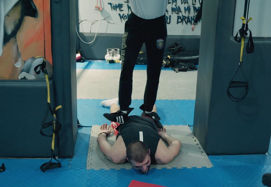 Veljko Ražnatović, Ceca show