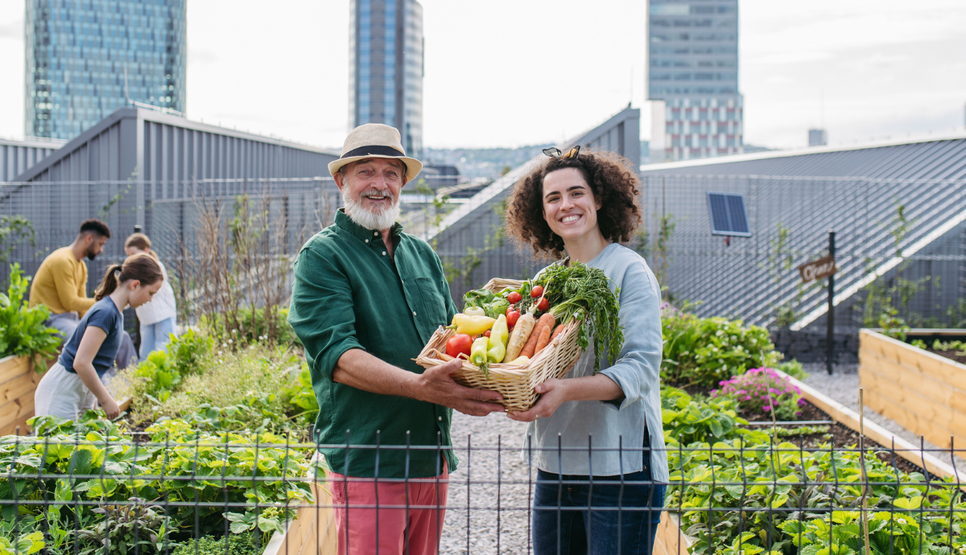 közössegi-kertek-glamour