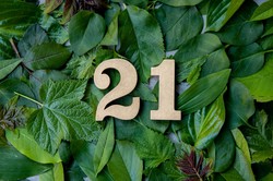 Quiz ortograficzny "Oczko". 21/21 tylko dla mistrza