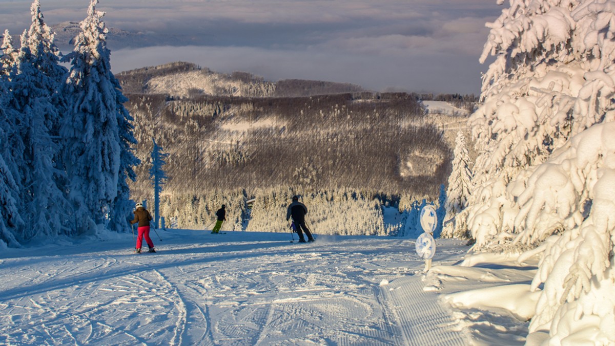 Nowy wyciąg kanapowy w ośrodku Szczyrk Mountain Resort, z Hali Skrzyczeńskiej w kierunku Skrzycznego, powstanie przed zimą. To główna część inwestycji przed kolejnym sezonem. Rzecznik ośrodka Beata Markiewicz podała, że ich wartość przekroczy 17 mln euro.