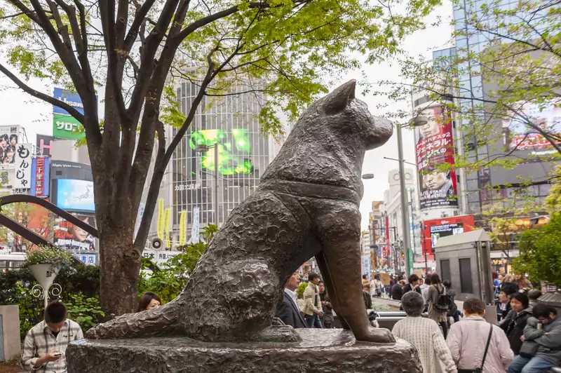 Pomnik upamiętniający wiernego psa Hachiko
