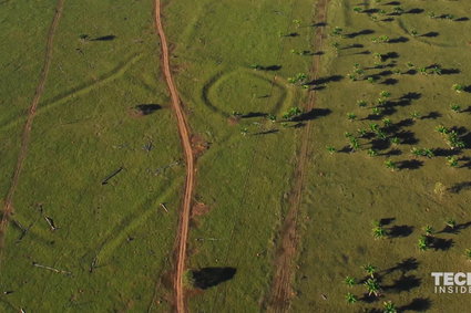 Amazonia nie jest tak dziewicza, jak wcześniej przypuszczano