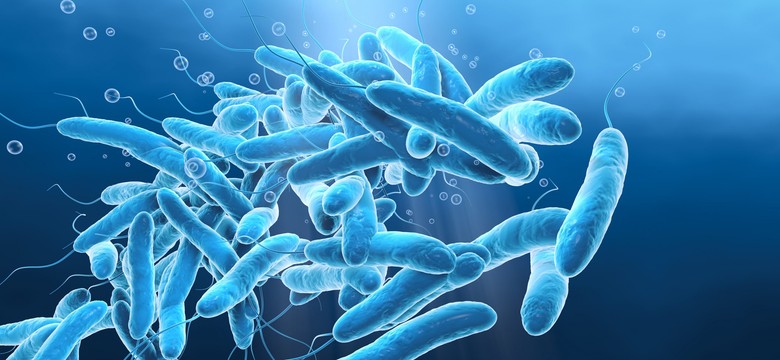 Legionella rozlewa się po Polsce. Nowe zakażenia