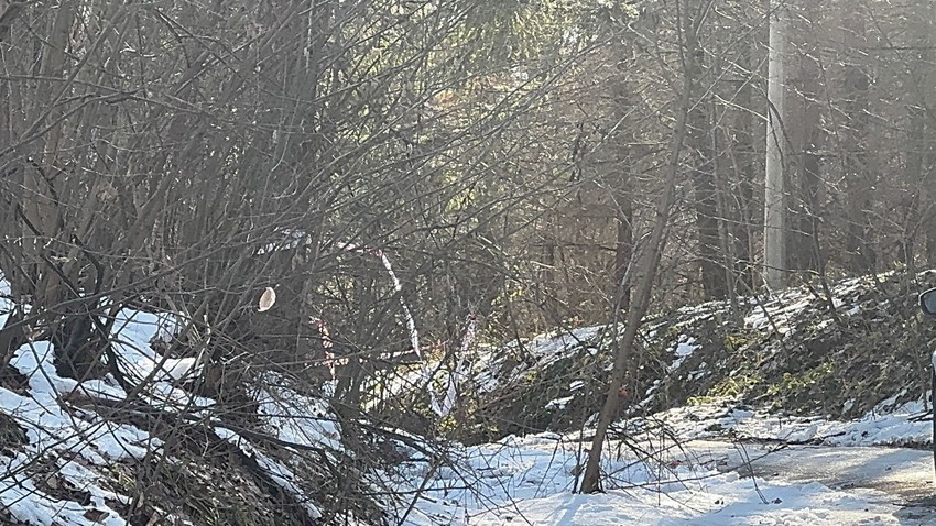 Mesto ubistva  Živka Bakića,  jezero Trešnja