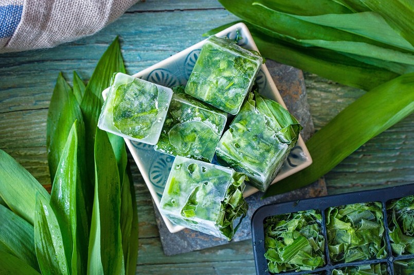 mrożenie czosnku niedźwiedziego