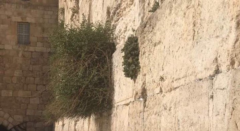 Raila at the Wailing Wall