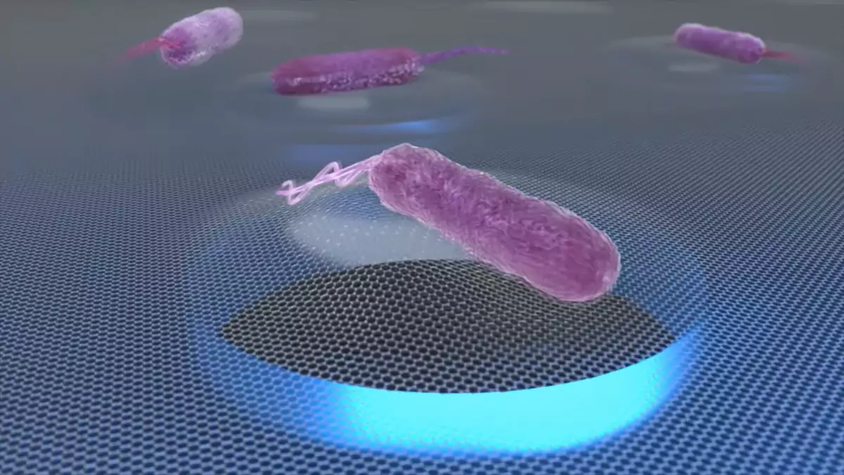 Bakteria (zdjęcie poglądowe)