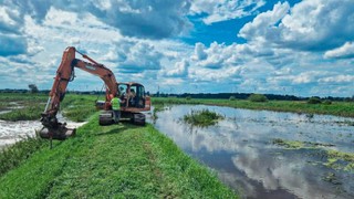 Wysiedlenia ułatwione pod budowę rowów? WWF ma obiekcje