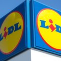 Lidl w Polsce i Lidl w Niemczech. Zobacz, gdzie jest taniej