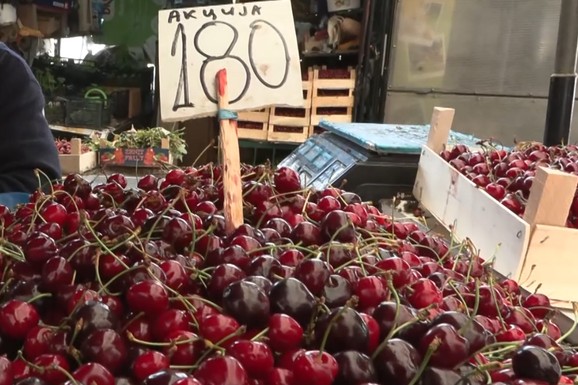 TREŠNJE SA 1.500 PALE NA 160 DINARA! Na najjeftinijoj beogra
