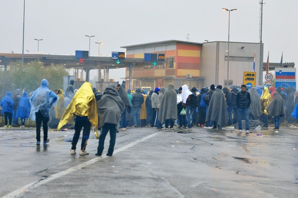 Rząd w Budapeszcie: Zamknięcie granicy zatrzymało napływ imigrantów