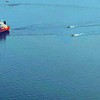 Švedska zaplenila tanker