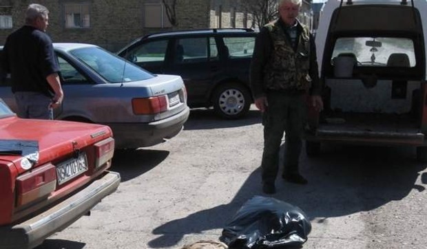 25508_vosavrb012903vrbas-uginula-divljac-u-savinom-selu