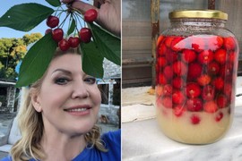 Suzana Mančić majstorski pravi LIKER OD TREŠANJA: Za RECEPT su vam potrebna samo 3 sastojka i sunce!