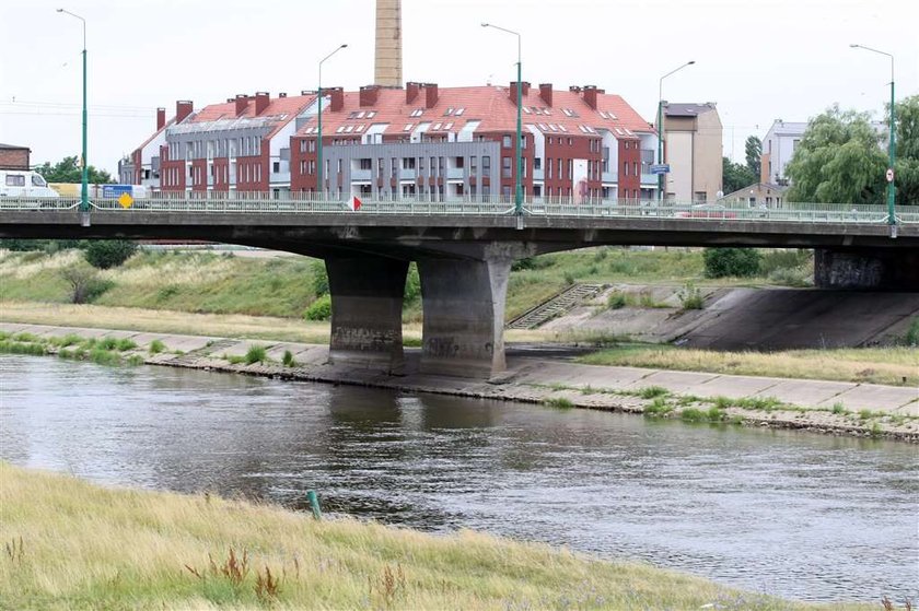 Ten piesek jest... małą syrenką!