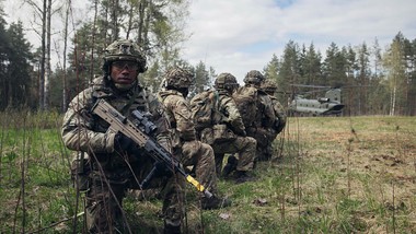 ukraińcy zdemolowali nato na manewrach. ujawniono to po wielu miesiąca