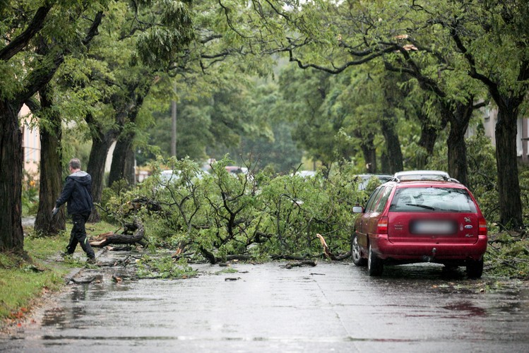 Zniszczenia po przejściu orkanu Ksawery