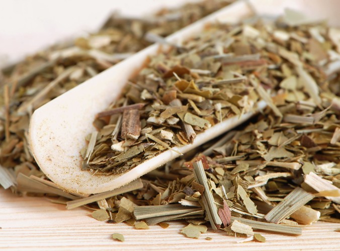 2. Yerba mate pobudza umysł