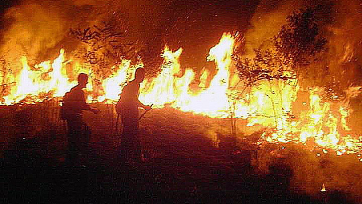 Pożary lasów w Amazonii. Żołnierze oddelegowani do walki z ogniem