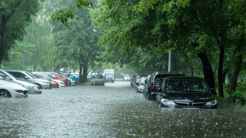 Pojawi się więcej intensywnych opadów deszczu