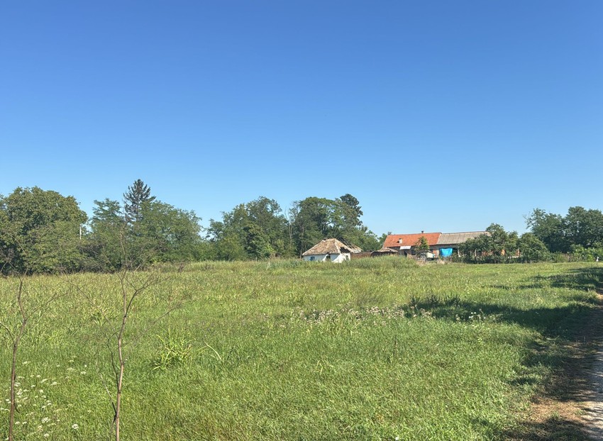 Njiva zbog kojeg je navodno došlo do ubistva: U pozadini je kuća ubijenog Igora 