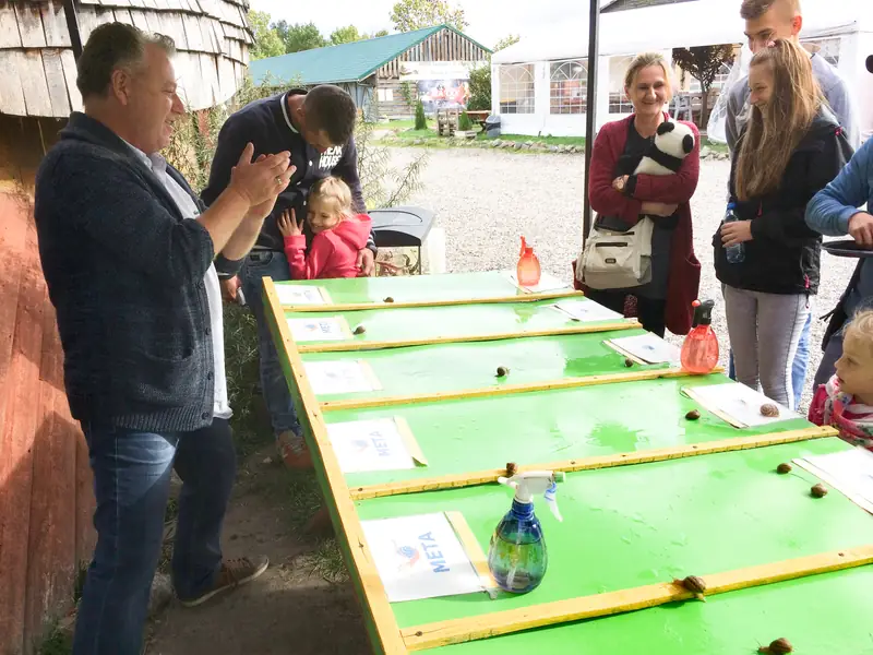 Król Ślimaków (z lewej) organizuje wyścigi ślimaków 