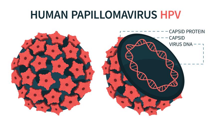 hpv év tünetei