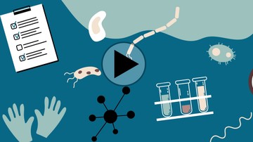 Így igazodhat el könnyen a hazánkban elérhető szűrővizsgálatokban - videó