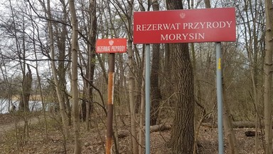 Gazociąg przez rezerwat? Radni i mieszkańcy oburzeni zmianą planowanej trasy