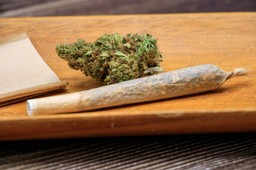 Legalizacja marihuany w Niemczech nie przyniosła spodziewanego efektu