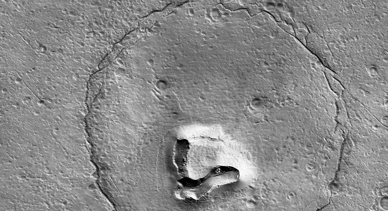 A photo taken by the Mars Reconnaissance Orbiter looks like a bear.NASA/JPL-Caltech/UArizona