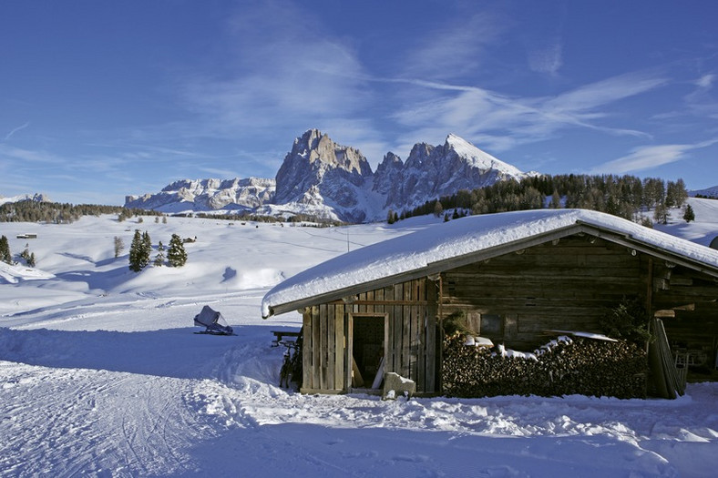 Tyrol Południowy, Alpe di Siusi/Seiser, widok na Sassolungo/Langkofel i Sassopiatto/Plattkofel