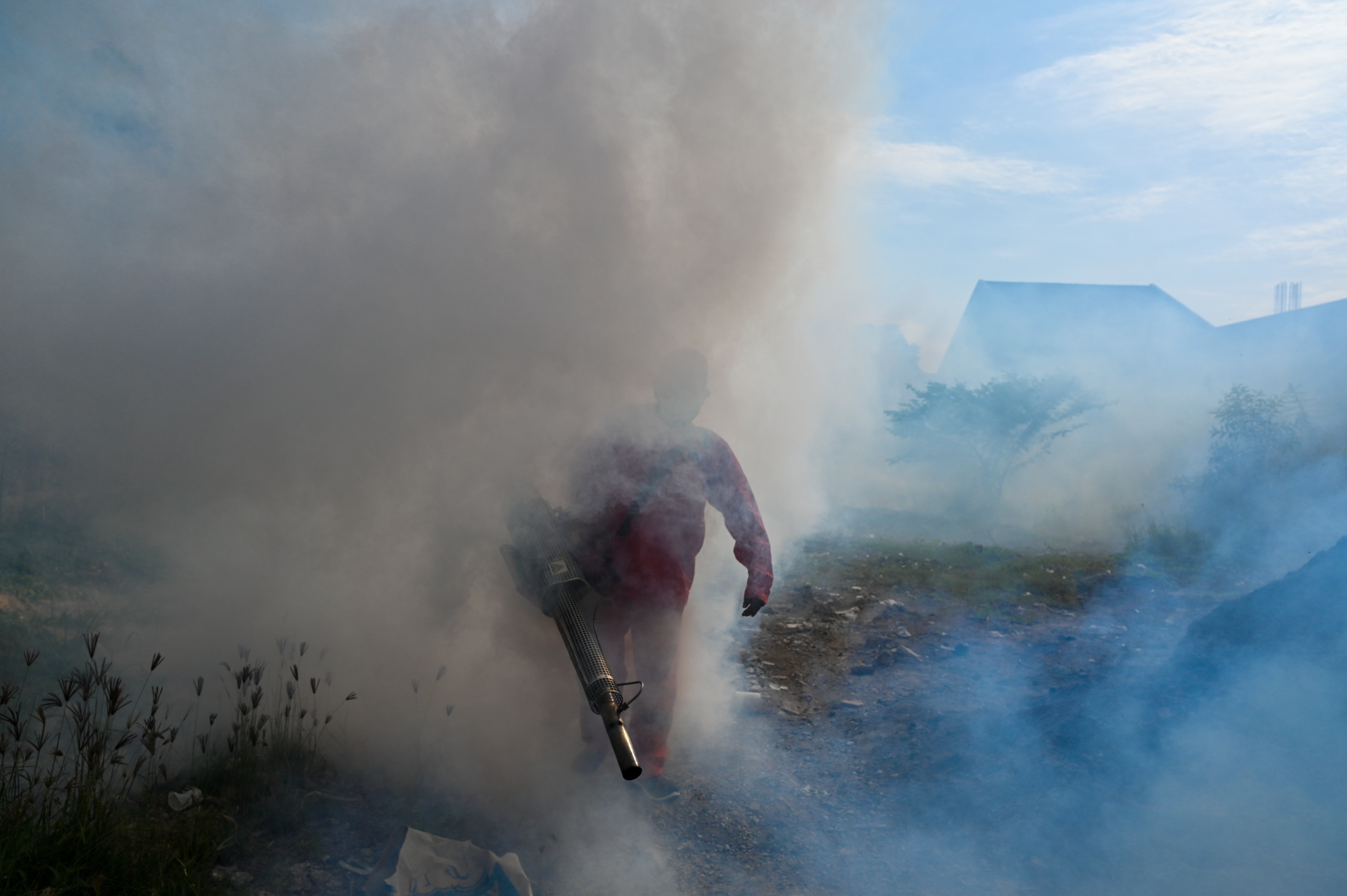 Dengue Bologna: allarme Burioni per 3 casi autoctoni