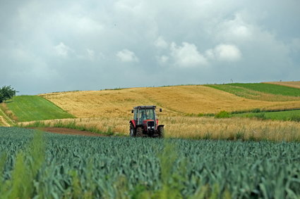 Rolnicy liczą na KPO. Wnioski na ponad 200 mln zł