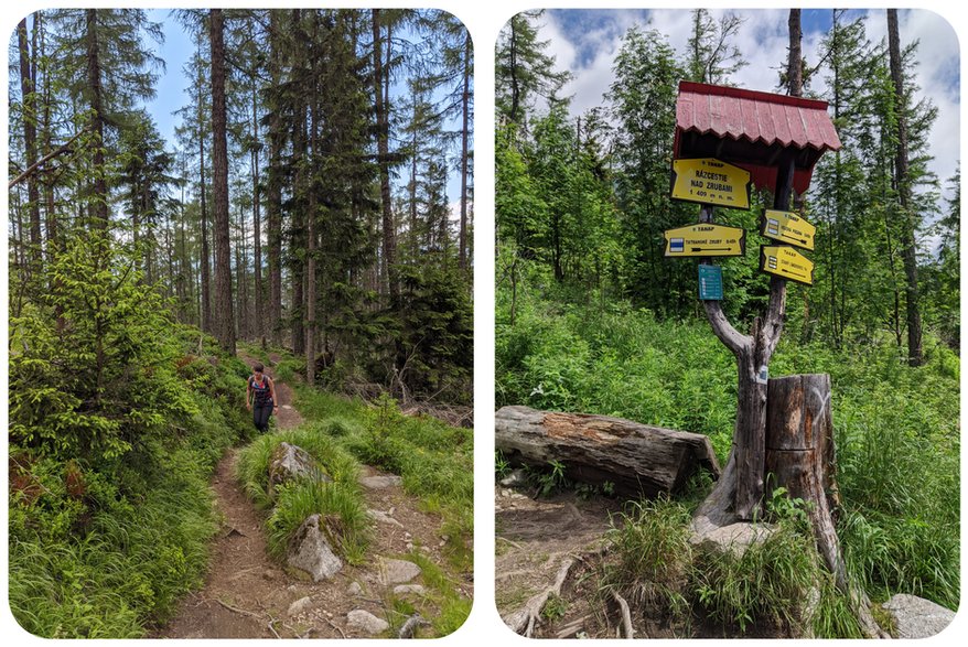 Polski Grzebień i Mała Wysoka. Tatry Słowackie.