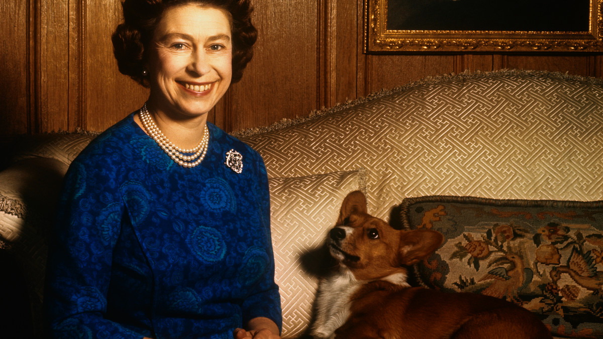 Elżbieta II uwielbiała te psy. Miały na koncie listę "ofiar"