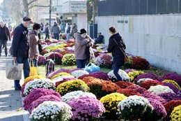 Kwiatowa inflacja. Ceny wyższe niż przed rokiem