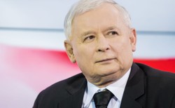 Kadry decydują o wszystkim, czyli jak elity wierne PiS zastępują układ [ANALIZA]