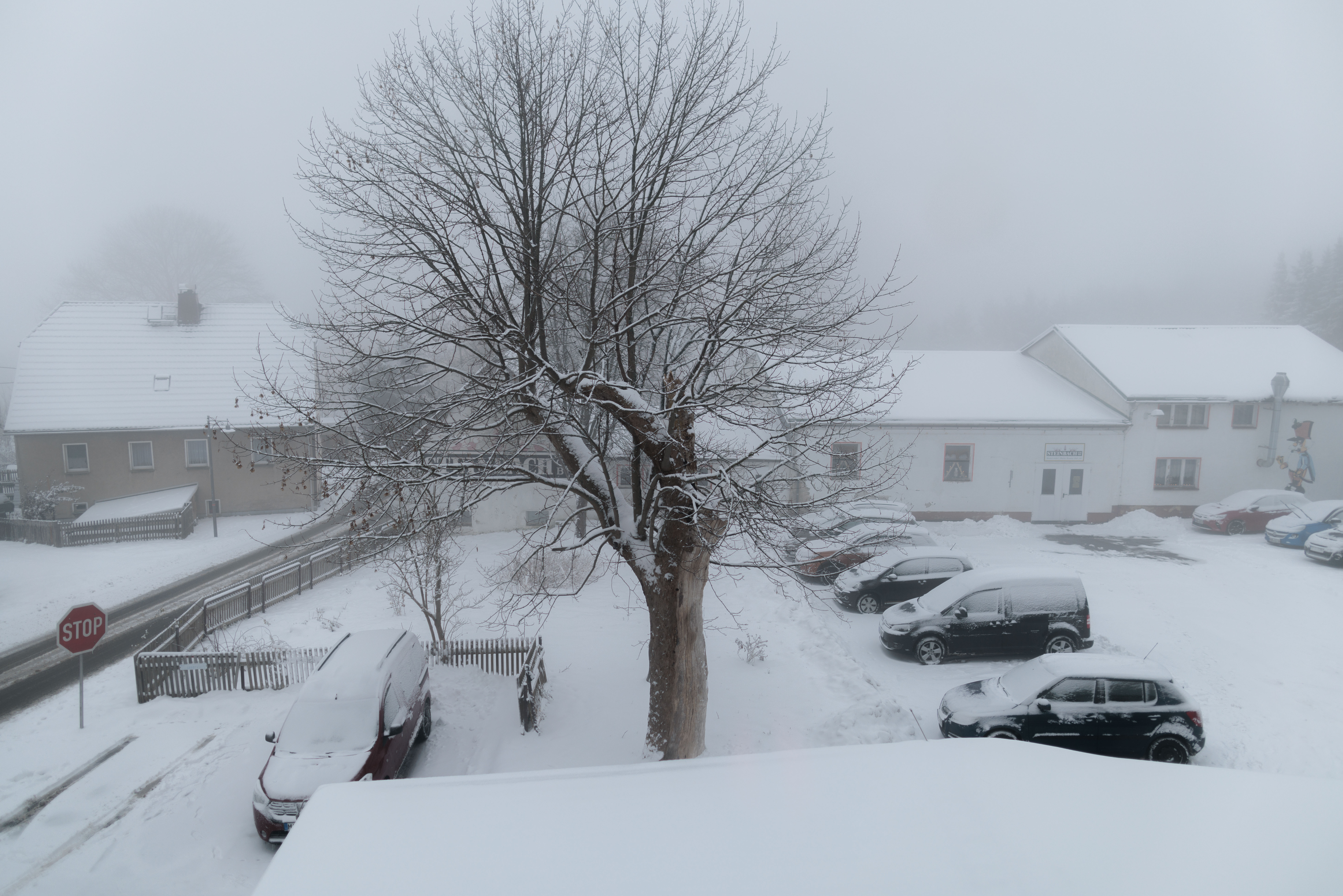 Kaum Schnee zu Weihnachten - stattdessen bis minus 5 Grad und Frost
